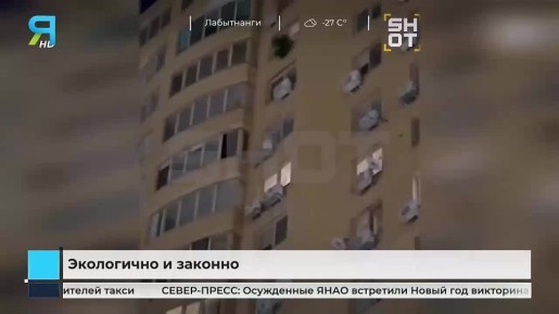 Правильная утилизация новогодней ёлки: как избежать штрафа и помочь природе