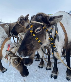 ��� �������� �� ��������: ���������� ��� ���������� ��� ���������