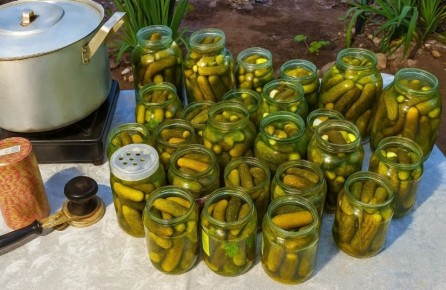 �� ����������� �����: ������� ��������� ������� �� ����