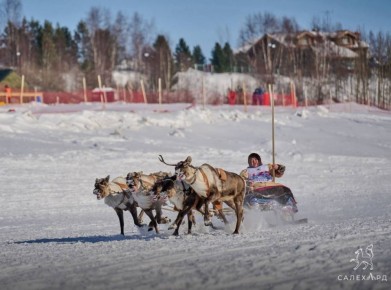 �������� ���������� � ���������� ��� ���������