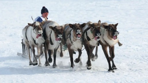 ��� �������� �������� ��������� ���!