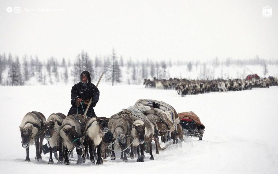 ����� � ����� ������. ���� ��������� ����