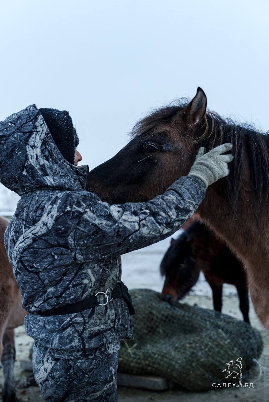 Знакомьтесь, это Изюм!. Этот гнедой жеребёнок - драгоценное пополнение федерации иппотерапии под руководством Марианны Поляковой Знакомьтесь, это Изюм!. Этот гнедой жеребёнок - драгоценное пополнение федерации иппотерапии под руководством Марианны Поляковой