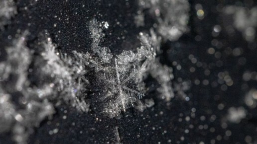 ���� �� ����� � �� ������ �����, ��� ������, ��������� � ����������