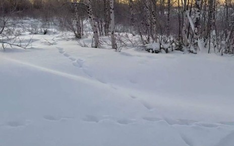 �� ������ �� �����: �� ����� ������� ����� ��������