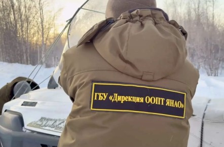 ��������� ������� ����� �� ����� ������ �������� � ��������� �����