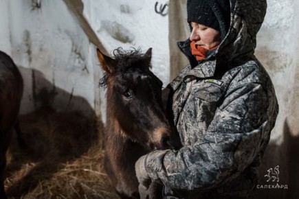 ����������� � ��� ����!. ���� ������ �������� � ����� ���������� ��������� ����������� � ���������