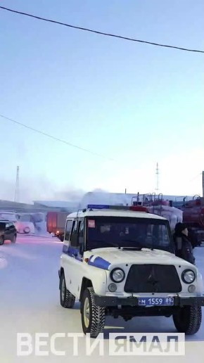 ����� � ��-����. � ������ �������� ������������� ������ ��������� ��������� � ���������� � ������ �� ������� ����