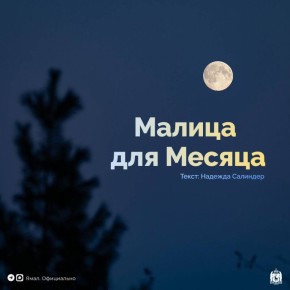 ������ ����� ����� �� ���� ��� ����� ������