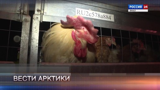 ��� ��������, �� � ��� ������� ������