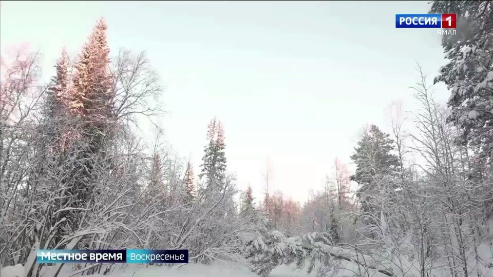 ������� ����� �������� ����� �������� ������, � ��� ��� ��� ����������� ����� ���������������: