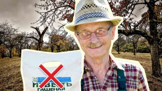 ������� ������� ������ �� �������: ����� � ���� ���������� ������ �����