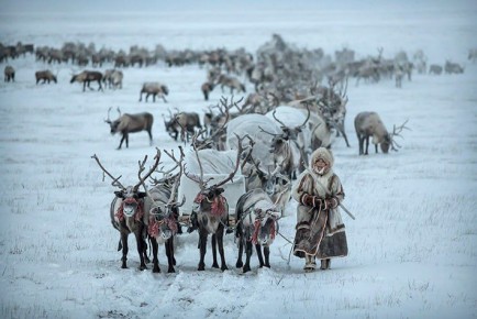 ��������� ������ �������� ��� ��� �������� ������ ����� ����������� ����� �����, ��������� �� �����