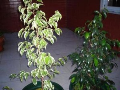 ����� ����������: ������� ��������� ����� � ����������� ��� ������ ����