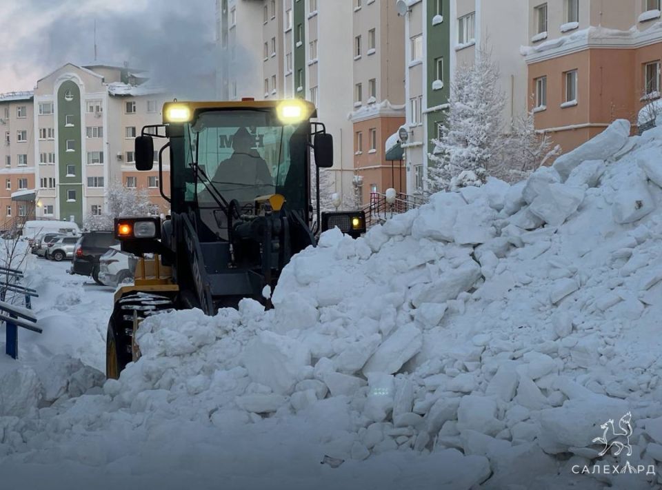 Снежная сводка по Салехарду за сегодня