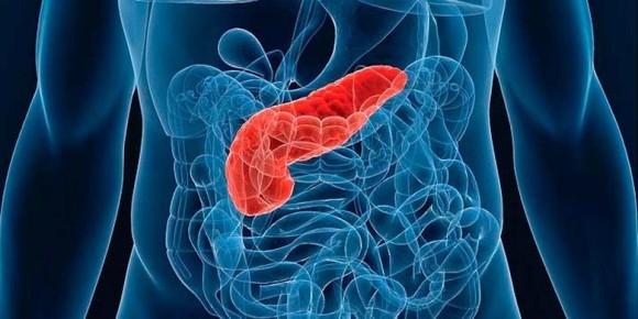 ��� ���� ������� ������� ������� ������ � �����: ����������� ��������