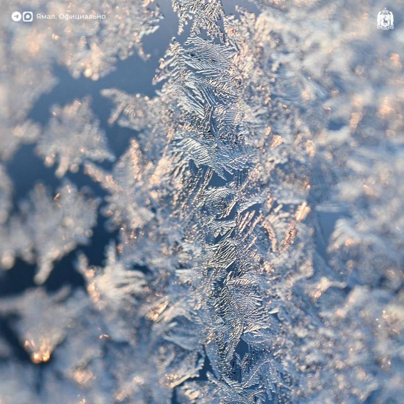 ��������� � ��������� ������� ������� �� ���������