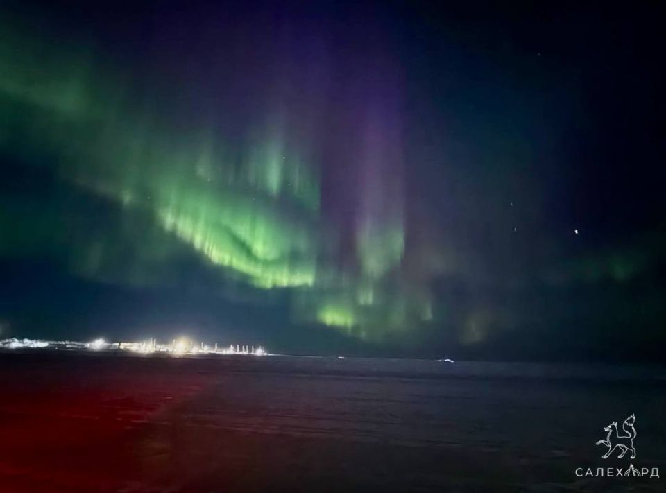 ����� ������ � ���� �������� ����������