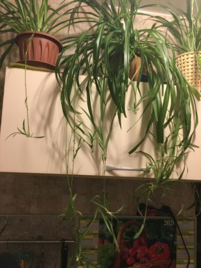 ����������: ��� ������� �������� �������� � ��������� ���� ��������� �� ���� ������