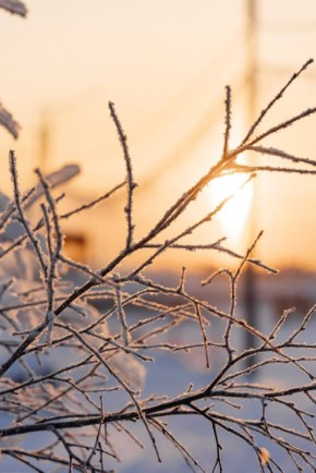 ������� ���������: �������! � ���� � ��������� ����������� ������� ��������� �� ������� -39�C