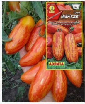 ��������� ��������: ���������� ����� �� ����� �������