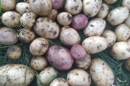 ��� ������� ��������� ����� ���� ������������