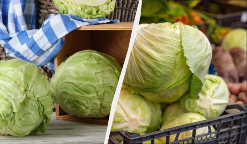 ��� ��������� ������� �� ����: ������� ������� �������� ��� �������