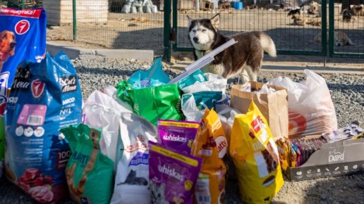 �������� ������� �����: ����� ���������� ��������� � ������ ���������