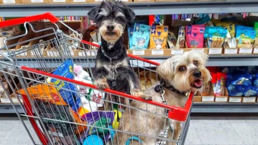 ������� ������� � ���������: ��� ������ ��� ����� �������?