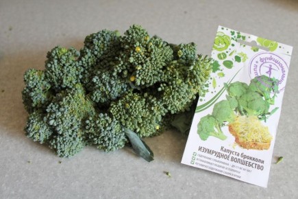 ����� � ������: ��������� ������� ��������� ��� ������ ��������