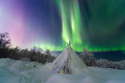 ������ ����� ����� � �������� ������