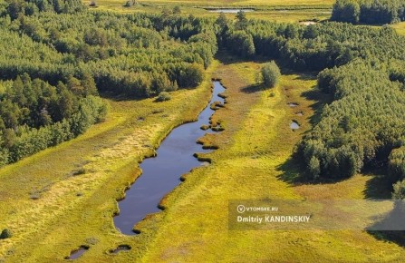 ���������� ���������� �������� ������� ������������ ��� ���� �������