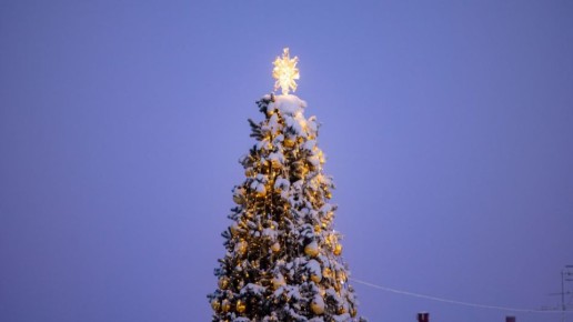 ������� ����, ��������!. ����� ��������� ���� �������, ����� ��������� ���������