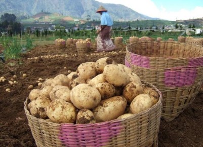 ��������� ������ ������������ ����: ��� ������� ���������� �����