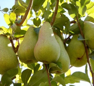 ����� � ����� ����: ������� ��������������� � ��������� ������