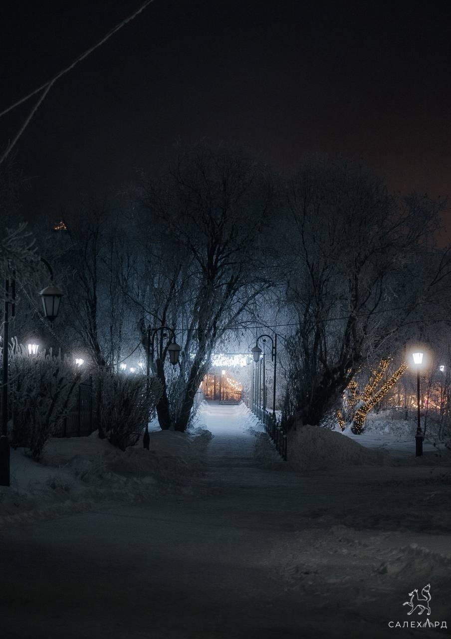 Доброй ночи, Салехард