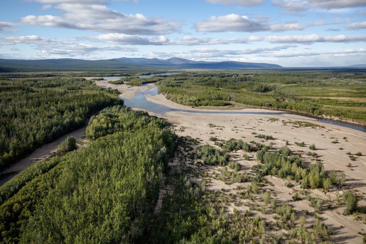 1 Самарская область, Чукотка и Камчатка стали лидерами по восстановлению лесов