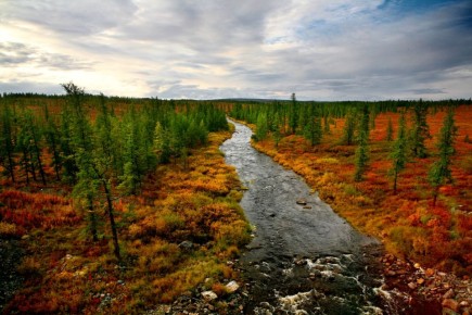 � ������ 2026 ���� ��������� ������ ������� ����� 250 ������������ �� ���������� ���������� ��� �������������