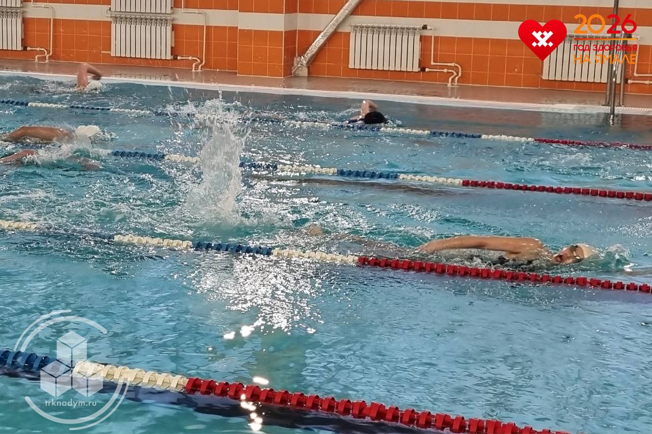 В Надыме проходит муниципальное Первенство по плаванию В Надыме проходит муниципальное Первенство по плаванию