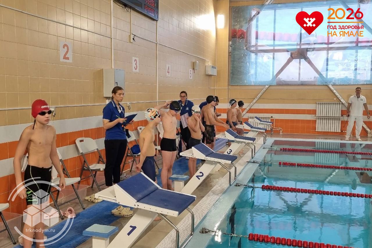 В Надыме проходит муниципальное Первенство по плаванию В Надыме проходит муниципальное Первенство по плаванию
