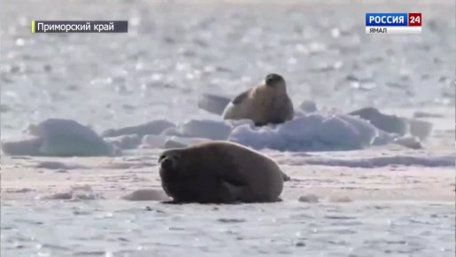 ��� ��������, �� � ��� ������� ������