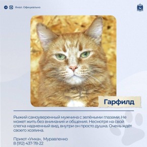 ����� ����������. ������: ��� ����� � 4