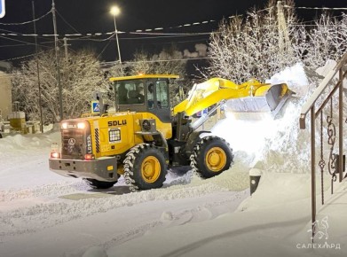 � ��������� ������������ ������ �������������� �������