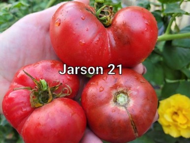 ����� ����� 21: ������������ ��������� ���� ��� ������������ ����