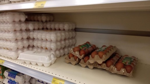 Яйца из супермаркета: какие из них лучше обходить стороной