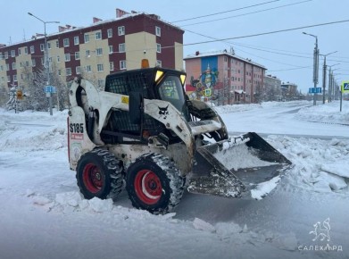 � ��������� ������������ �������� ������� �������� ����������