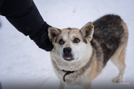 1 ������� - ���� �������� ������ � ������������ ������