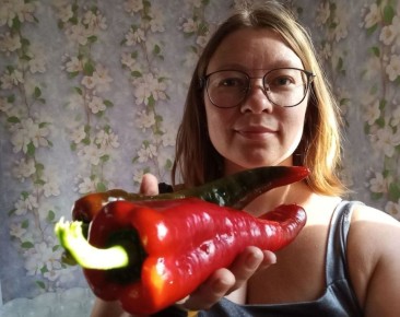 Можно ли вырастить перец из семян магазинного плода и получить похожий урожай