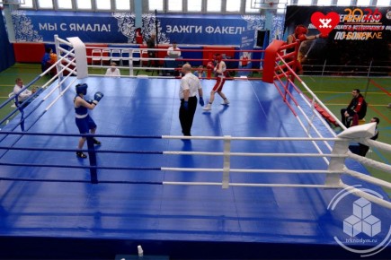 � ������ ���������� ���������� ���� �� �����