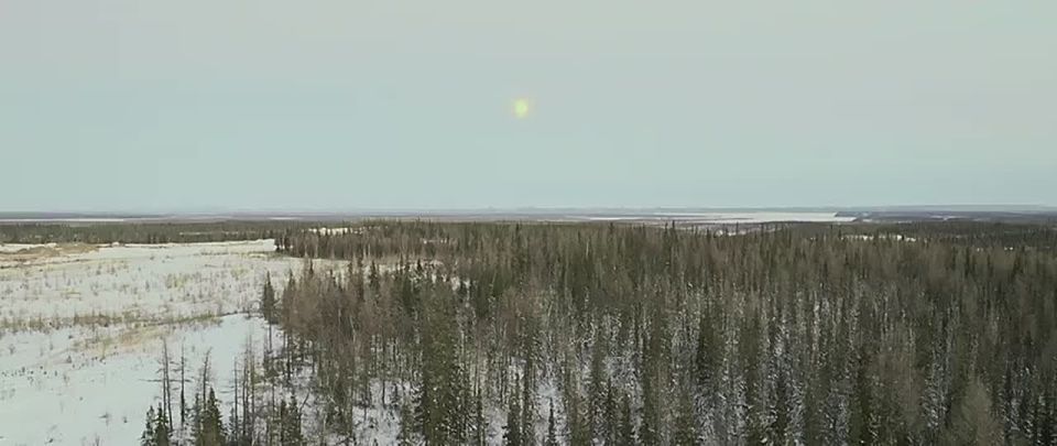 ����������� ���� �� ����� � ��� �� ��� ����������� �� �����!